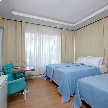Nest Anatlya Antalya